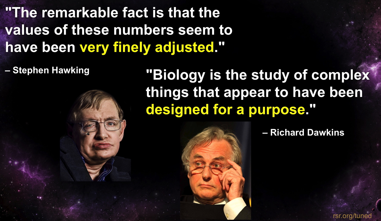 Hawking & Dawkins quotes admitting that the universe and life all look designed