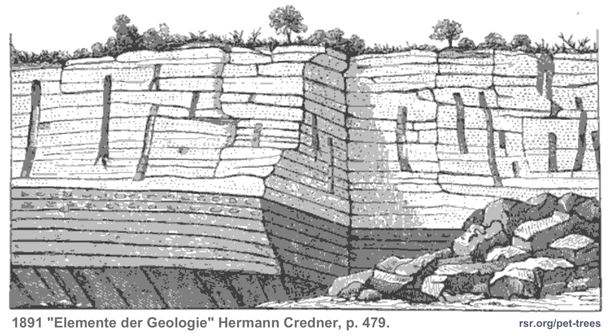 Polystrate trees in France likely formed by the same model of those at Yellowstone, as revealed by Mt. Saint Helens...