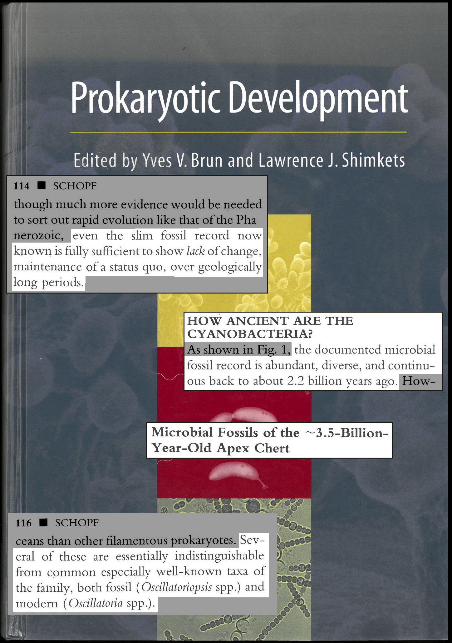 Excerpts from Prokaryotic Development