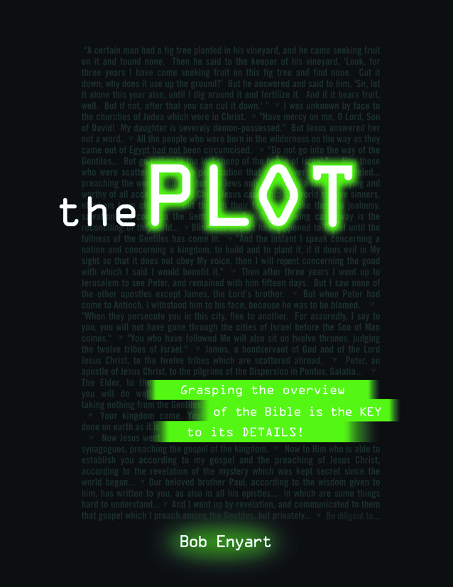 Cover of Bob Enyart's book The Plot: An Overview of the Bible